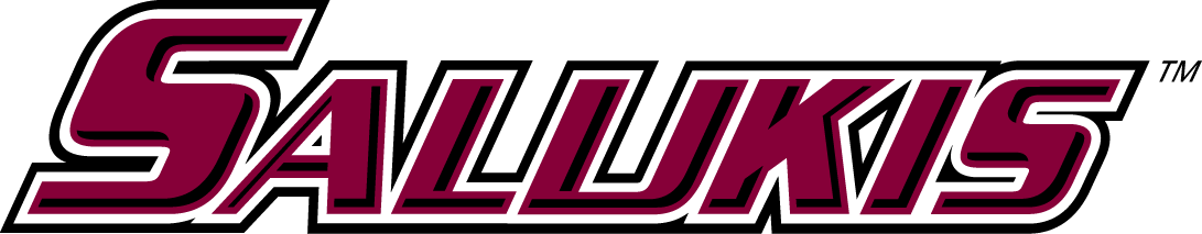 Southern Illinois Salukis 2011-2019 Wordmark Logo diy DTF decal sticker